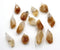 rough citrine pendant, rough pendant, 13-15mm x 20mm, sold as 1 piece, citrine pendants, rough pendant, nugget pendant,